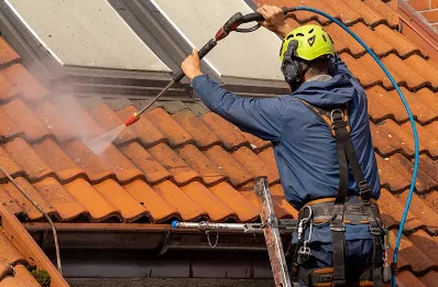 Démoussage et hydrofuge de toiture à Ladon
